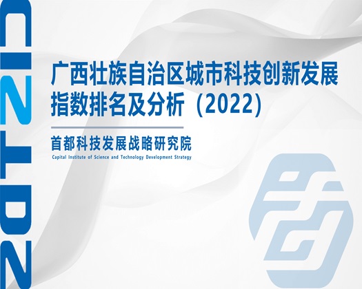 大鸡吧操女人网站【成果发布】广西壮族自治区城市科技创新发展指数排名及分析（2022）